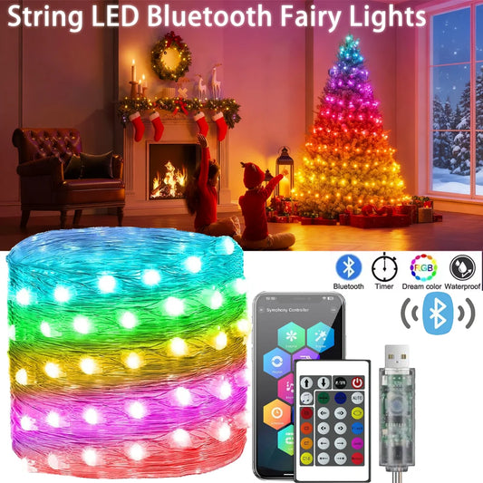 Christmas LED String Lights